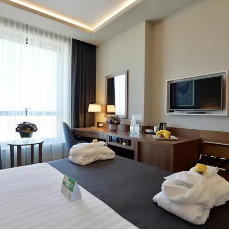Hotel - Centre By Ihg Bursa