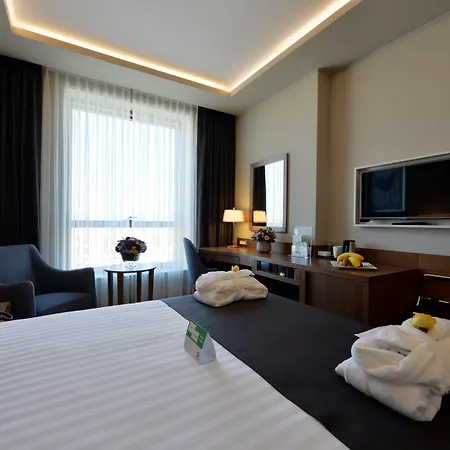 Hotel - Centre By Ihg Bursa