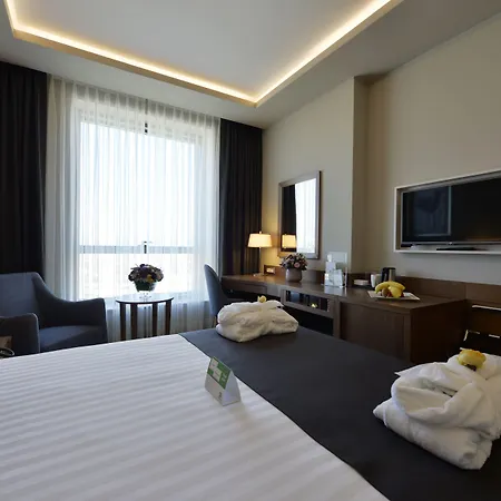 Hotel - Centre By Ihg Bursa