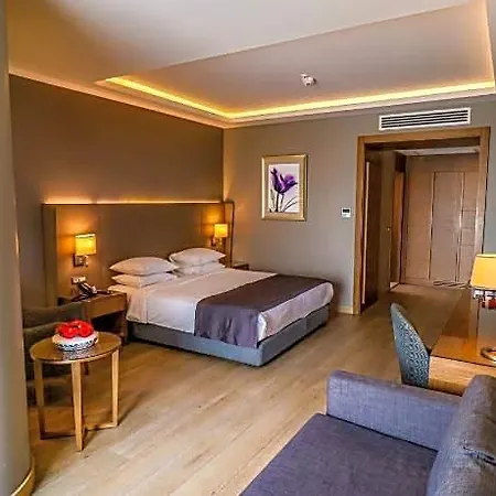 Hotel - Centre By Ihg Bursa