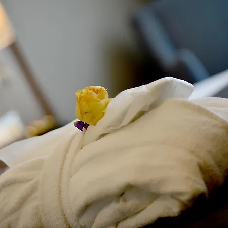 酒店 布尔萨市中心假日酒店