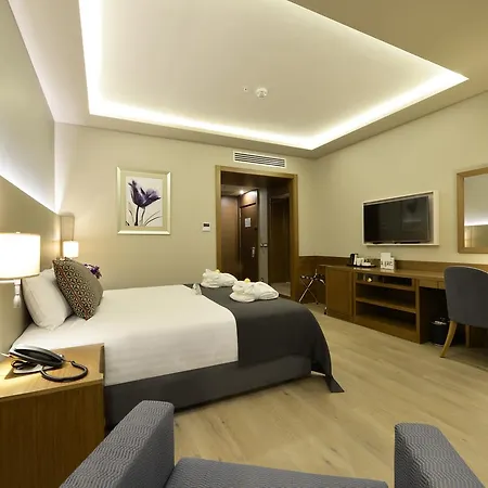 Hotel - Centre By Ihg Bursa